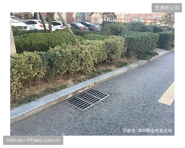我国90%以上的大型体育场馆实现了市政双路供水,但仅15%拥有独立的雨水净化系统 我国90%以上的大型体育场馆实现了市政双路供水,但仅15%拥有独立的雨水净化系统